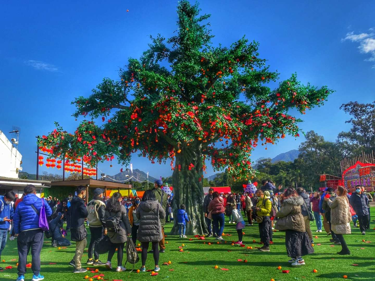 [New Year & Easter Recommendation] Spring Outing in the Flower Garden | Leigongtian Farm Fresh Milk + Shek Kong Kapok Viewing + Mawan Rainbow Village 1868 + Shenjing Roast Goose Lunch Family Day Tour - Photo 1 of 8